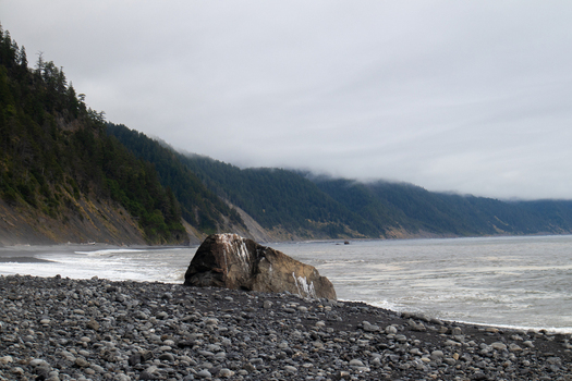 View of the rugged Lost Coast shoreline featuring a large boulder on a pebble beach with misty forested hills and the Pacific Ocean in Humboldt County California United States.