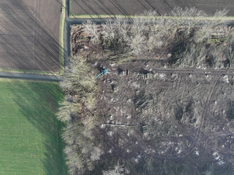 Netherlands 06 July 2026 Aerial view of a forest area undergoing clearing with heavy machinery tire tracks on muddy ground and stacked logs bordered by agricultural fields. Netherlands 06 July 2026 Aerial view of a forest area undergoing clearing with heavy machinery tire tracks on muddy ground and stacked logs bordered by agricultural fields.
