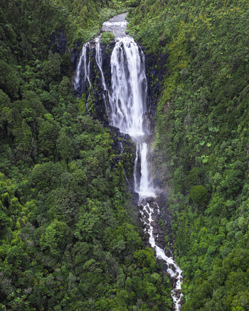 Aerial view of Wairere Falls cascading through dense native forest and rocky cliffs in Okauia Waikato Region New Zealand.
