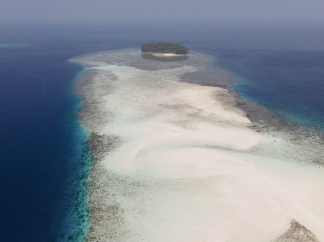 Aerial view of Pasir Timbul Mansuar sandbar surrounded by turquoise water coral reefs and a small island with lush vegetation in Raja Ampat Papua Barat Indonesia. Aerial view of Pasir Timbul Mansuar sandbar surrounded by turquoise water coral reefs and a small island with lush vegetation in Raja Ampat Papua Barat Indonesia.