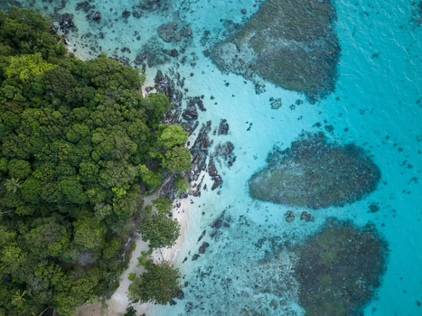 Aerial view of the lush green vegetation of Tanjung Gelam Beach contrasting with the turquoise waters Karimunjawa Central Java Indonesia. Aerial view of the lush green vegetation of Tanjung Gelam Beach contrasting with the turquoise waters Karimunjawa Central Java Indonesia.