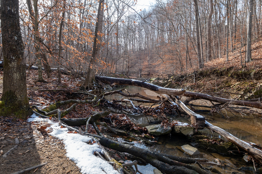 View of a creek flowing through the forest with fallen trees and snow patches under the bare trees Scott s Run Virginia United States. View of a creek flowing through the forest with fallen trees and snow patches under the bare trees Scott s Run Virginia United States.