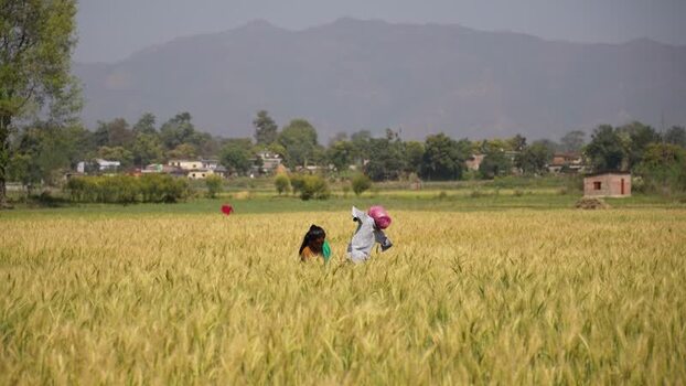 View of people working in a rural field in Dang Nepal.