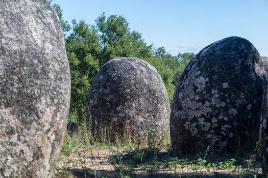 View of the ancient standing stones at Almendres Cromlech with lichen covered surfaces and lush green trees in the background in Nossa Senhora de Guadalupe Distrito de Evora Portugal. View of the ancient standing stones at Almendres Cromlech with lichen covered surfaces and lush green trees in the background in Nossa Senhora de Guadalupe Distrito de Evora Portugal.
