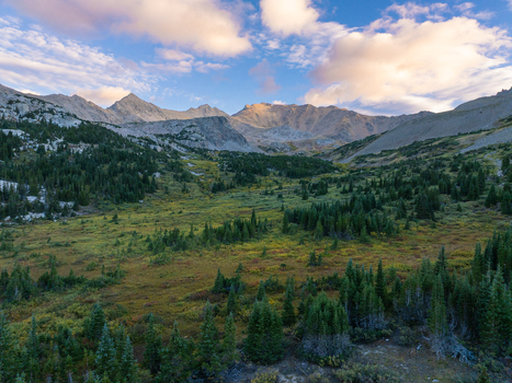 Aerial view of Mount Harvard surrounded by pine forests and alpine meadows in the Rocky Mountains near Buena Vista Colorado United States. Aerial view of Mount Harvard surrounded by pine forests and alpine meadows in the Rocky Mountains near Buena Vista Colorado United States.