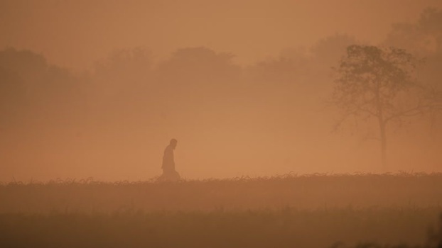 View of a man walking through thick fog at dawn Bangladesh. View of a man walking through thick fog at dawn Bangladesh.