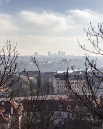 View of the historic red rooftops and distant modern skyline framed by bare tree branches under a cloudy sky in Prague Prague Czechia. View of the historic red rooftops and distant modern skyline framed by bare tree branches under a cloudy sky in Prague Prague Czechia.