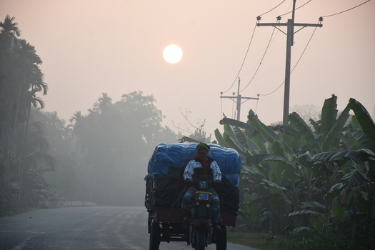 View of a person riding a motorized three wheeler loaded with goods on a misty road surrounded by banana trees and power lines in Kushtia District Khulna Division Bangladesh. View of a person riding a motorized three wheeler loaded with goods on a misty road surrounded by banana trees and power lines in Kushtia District Khulna Division Bangladesh.