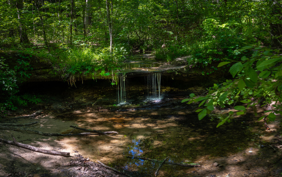 View of Pickle Springs Natural Area with a small waterfall cascading over a rock ledge into a clear pool surrounded by lush green forest New Offenburg Missouri United States.