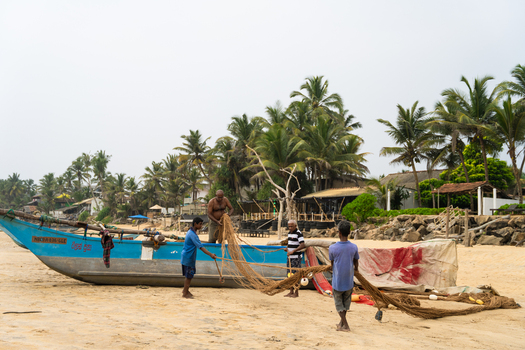 Sri Lanka 30 January 2026 View of fishermen pulling a large net on a sandy beach next to a blue traditional boat with palm trees in the background.