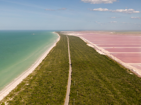 Aerial view of the pink salt evaporation ponds separated from the turquoise Caribbean Sea by a strip of lush green vegetation and a road in Las Coloradas Yucatan Mexico.