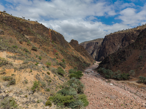 Aerial view of the arid canyon walls casting long shadows over the rocky riverbed a stark landscape under a partly cloudy sky Dirhur canyon Socotra Yemen.