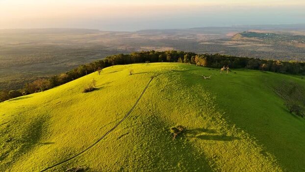 Aerial view of Puu Waawaa cinder cone in Hawaii County United States. Aerial view of Puu Waawaa cinder cone in Hawaii County United States.
