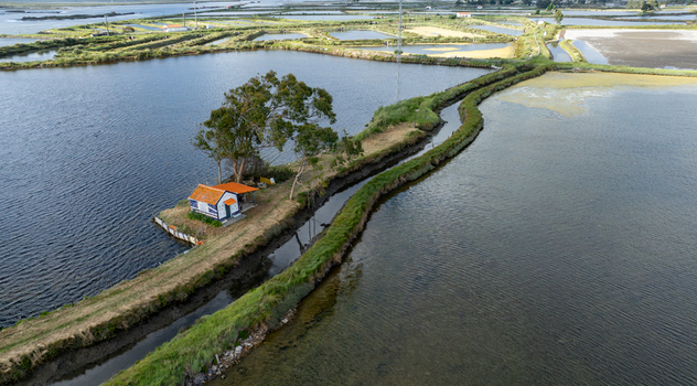 Aerial view of Salinas de Aveiro salt pans with a small traditional hut and water channels surrounded by green embankments in Aveiro Portugal. Aerial view of Salinas de Aveiro salt pans with a small traditional hut and water channels surrounded by green embankments in Aveiro Portugal.