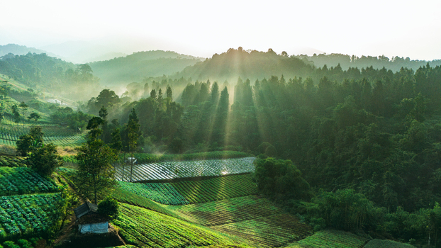 Aerial view of lush terraced agricultural fields and dense tropical forest with sunbeams breaking through morning mist over rolling hills in Sukabumi West Java Indonesia. Aerial view of lush terraced agricultural fields and dense tropical forest with sunbeams breaking through morning mist over rolling hills in Sukabumi West Java Indonesia.