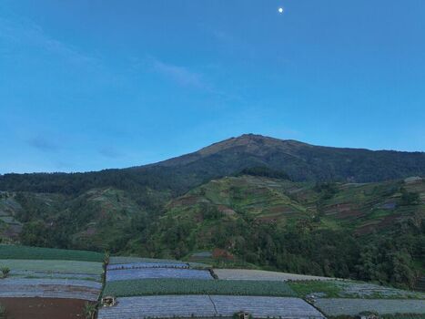 Aerial view of the lush terraced vegetable fields on the slopes of Mount Sumbing under a clear blue sky at dawn in Kecamatan Kaliangkrik Jawa Tengah Indonesia. Aerial view of the lush terraced vegetable fields on the slopes of Mount Sumbing under a clear blue sky at dawn in Kecamatan Kaliangkrik Jawa Tengah Indonesia.
