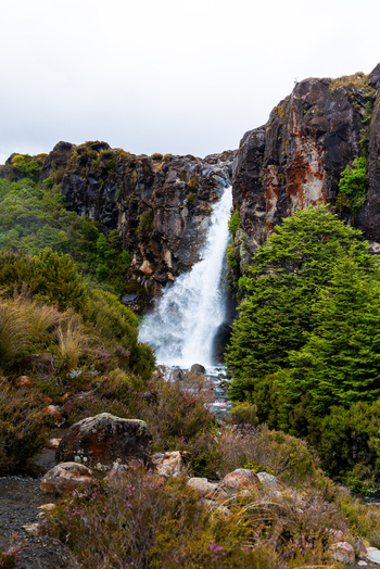View of Taranaki Falls plunges with frothy vigor amidst the rugged cliffs and verdant foliage a symphony of nature s raw beauty Taranaki Falls Manawatu Whanganui Region New Zealand. View of Taranaki Falls plunges with frothy vigor amidst the rugged cliffs and verdant foliage a symphony of nature s raw beauty Taranaki Falls Manawatu Whanganui Region New Zealand.