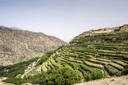 View of lush green agricultural terraces carved into the mountain slopes with traditional stone buildings under a clear sky in Tizi Oussem Marrakech Safi Morocco. View of lush green agricultural terraces carved into the mountain slopes with traditional stone buildings under a clear sky in Tizi Oussem Marrakech Safi Morocco.