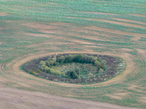 Aerial view of a circular grove of trees and bushes surrounded by agricultural fields in Jacobsdorf Brandenburg Germany. Aerial view of a circular grove of trees and bushes surrounded by agricultural fields in Jacobsdorf Brandenburg Germany.