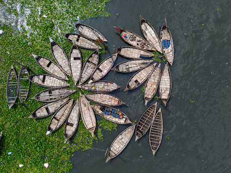 Aerial view of wooden boats arranged in a circular pattern on the Buriganga River with green water hyacinths Dhaka Dhaka Division Bangladesh.