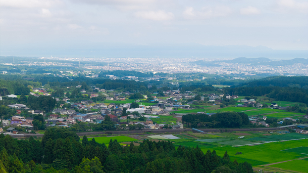 Aerial view of a rural landscape featuring vibrant green rice fields scattered residential houses and dense forests with a distant city skyline under a hazy sky in Japan. Aerial view of a rural landscape featuring vibrant green rice fields scattered residential houses and dense forests with a distant city skyline under a hazy sky in Japan.