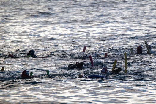 Rio de Janeiro Brazil 06 June 2026 View of swimmers participating in an open water event with colorful pool noodles in the sea at Red Beach.