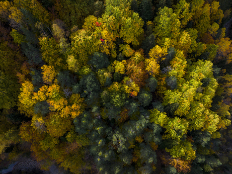 Aerial view of the Pyrenees mountains featuring a dense forest with vibrant autumn foliage in shades of yellow orange and green Spain. Aerial view of the Pyrenees mountains featuring a dense forest with vibrant autumn foliage in shades of yellow orange and green Spain.