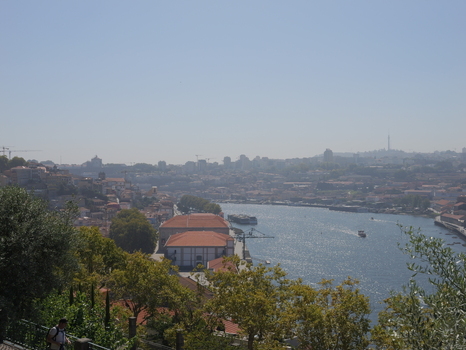 View of the Douro River flowing through the historic city of Porto with traditional buildings lush trees and boats on the water in Porto Porto District Portugal. View of the Douro River flowing through the historic city of Porto with traditional buildings lush trees and boats on the water in Porto Porto District Portugal.