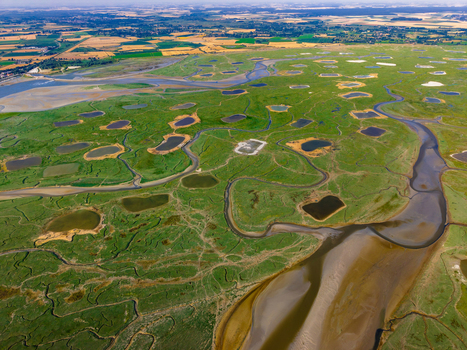 Aerial view of the Baie de Somme with its winding tidal channels salt marshes and scattered pools of water in Saint Valery sur Somme Hauts de France France. Aerial view of the Baie de Somme with its winding tidal channels salt marshes and scattered pools of water in Saint Valery sur Somme Hauts de France France.