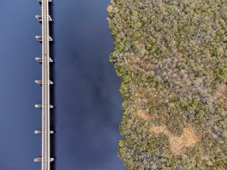 Aerial view of the Moerputtenbrug bridge stretching across the dark waters contrasting with the adjacent green and brown wooded area s Hertogenbosch North Brabant Netherlands.