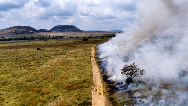Aerial view of a wildfire burning in a grassy savanna landscape with a dirt road acting as a firebreak and hills in the background in Waterberg District Municipality Limpopo South Africa. Aerial view of a wildfire burning in a grassy savanna landscape with a dirt road acting as a firebreak and hills in the background in Waterberg District Municipality Limpopo South Africa.