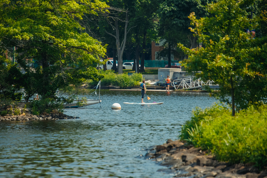 Boston United States 13 June 2025 View of a person paddleboarding on the Charles River surrounded by lush green trees and rocky banks on a sunny day. Boston United States 13 June 2025 View of a person paddleboarding on the Charles River surrounded by lush green trees and rocky banks on a sunny day.