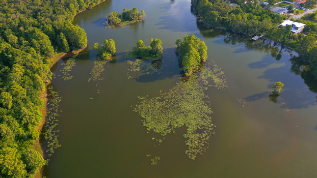Aerial view of a serene lake with small islands covered in lush green trees surrounded by dense forest and lily pads floating on the water surface in Tampa Florida United States. Aerial view of a serene lake with small islands covered in lush green trees surrounded by dense forest and lily pads floating on the water surface in Tampa Florida United States.