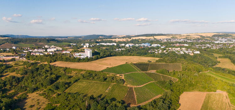 Aerial view of vineyards in the Moselle valley with the city of Trier in the background under a clear summer sky Trier Rhineland Palatinate Germany. Aerial view of vineyards in the Moselle valley with the city of Trier in the background under a clear summer sky Trier Rhineland Palatinate Germany.