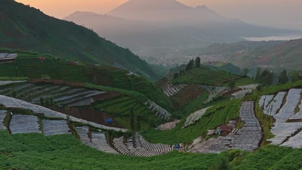 Aerial view of terraced fields in Dieng Indonesia.