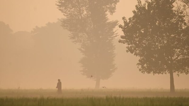 View of a person walking in a foggy field Bangladesh.
