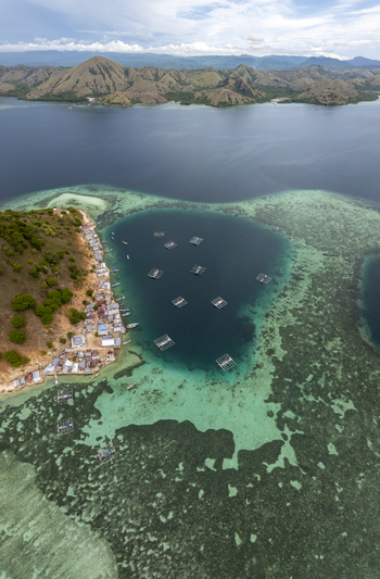 Aerial view of Pulau Kukusan featuring a coastal village with small houses and floating fish farms in the turquoise bay surrounded by clear water in Komodo East Nusa Tenggara Indonesia. Aerial view of Pulau Kukusan featuring a coastal village with small houses and floating fish farms in the turquoise bay surrounded by clear water in Komodo East Nusa Tenggara Indonesia.