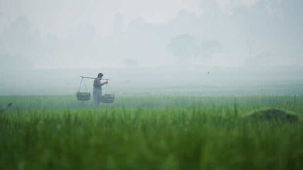 View of a farmer carrying baskets in a misty field Bangladesh.