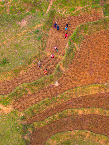 Aerial view of farmers working on terraced fields in Vietnam. Aerial view of farmers working on terraced fields in Vietnam.