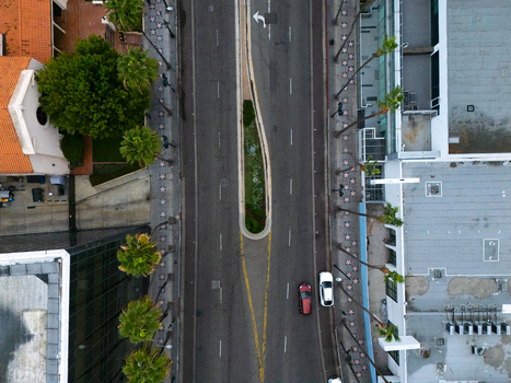 Aerial view of the Hollywood Walk of Fame with iconic stars on the sidewalk palm trees and cars driving along the road in Los Angeles California United States.
