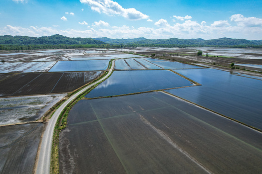 Aerial view of flooded rice fields reflecting the sky with a winding road and green hills under a cloudy sky Trino Piemonte Italy.