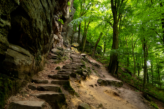 View of the stone steps along the Mullerthal Trail in a lush green forest with sandstone rock formations in Berdorf Echternach Luxembourg. View of the stone steps along the Mullerthal Trail in a lush green forest with sandstone rock formations in Berdorf Echternach Luxembourg.
