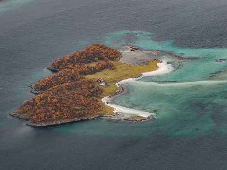 Aerial view of the island of Senja featuring autumn colored trees small houses and a sandy beach surrounded by turquoise waters in Senja Troms Norway.