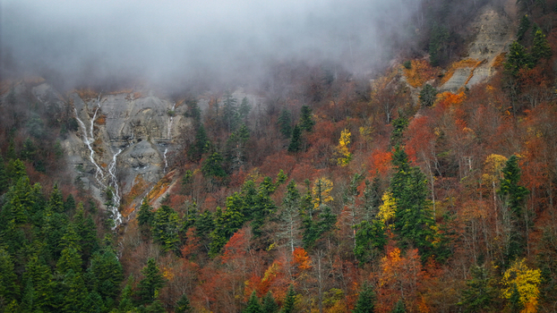 Aerial view of cascading waterfalls meeting the forest with autumn colors nestled beneath a blanket of mist Gex Auvergne Rhône Alpes France. Aerial view of cascading waterfalls meeting the forest with autumn colors nestled beneath a blanket of mist Gex Auvergne Rhône Alpes France.