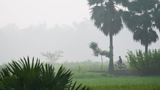 View of a person riding a bicycle in a misty field Bangladesh.