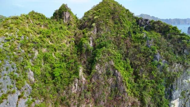 Aerial view of lush limestone karsts in Lan Ha Bay Vietnam.