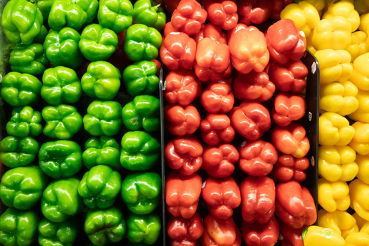 View of rows of fresh green red and yellow bell peppers neatly arranged in a grocery store display in California City California United States. View of rows of fresh green red and yellow bell peppers neatly arranged in a grocery store display in California City California United States.