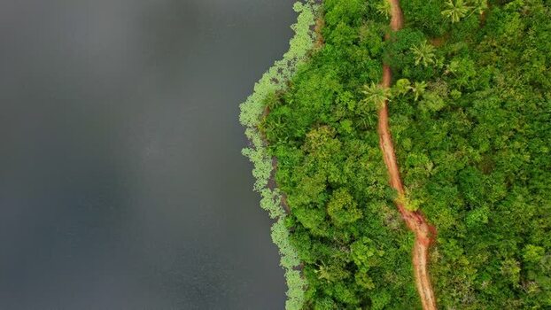 Aerial view of dirt road in forest near Malindi Kenya. Aerial view of dirt road in forest near Malindi Kenya.
