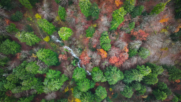 Aerial view of a vibrant tapestry of green orange and brown trees interwoven with a silver stream Gex Auvergne Rhône Alpes France. Aerial view of a vibrant tapestry of green orange and brown trees interwoven with a silver stream Gex Auvergne Rhône Alpes France.