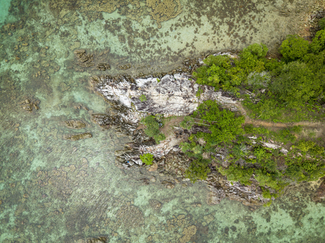 Aerial view of Annora beach where emerald waters meet the rugged rocks and lush greenery of the island Karimunjawa Jawa Tengah Indonesia.